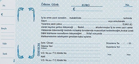 DİLMAN SENET KARNESİ EURO 100 YAPRAK (2312) - 1