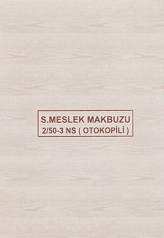 DİLMAN SERBEST MESLEK MAKBUZU 3 NÜSHA (4018) - 1