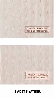 DİLMAN TAHSİLAT MAKBUZU 2 NÜSHA (4015) - DİLMAN