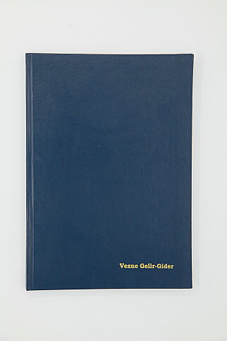 DİLMAN VEZNE GELİR GİDER DEFTERİ 22.5x32 96 YAPRAK (CİLTLİ) (5049) - 1