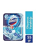 DOMESTOS WC BLOK KOKU GİDERİCİ 5 GÜÇ 55gr (9386) - DOMESTOS