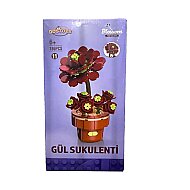 DOSTOYS 113-9-16-5 ÇİÇEK BLOK GÜL SUKULENTİ LEGO - DOSTOYS OYUNCAK