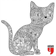 EDAM YAYINLARI KEDİDİR KEDİ-YETİŞKİNLER İÇİN BOYAMA - EDAM YAYINLARI (1)