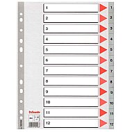 ESSELTE 100106 PLASTİK AYRAÇ A4 1-12 RAKAM - ESSELTE