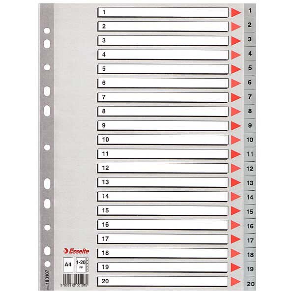 ESSELTE 100107 PLASTİK AYRAÇ A4 1-20 RAKAM