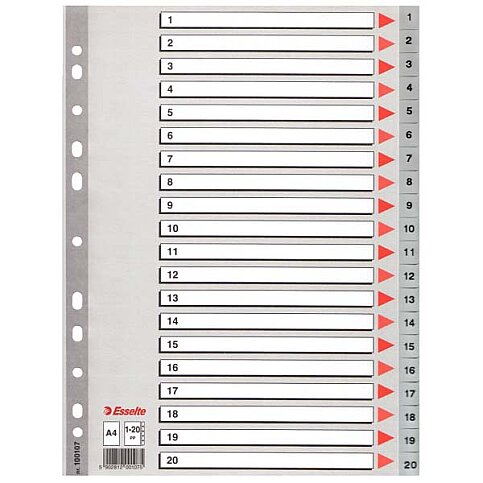 ESSELTE 100107 PLASTİK AYRAÇ A4 1-20 RAKAM - 1