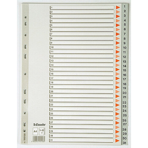 ESSELTE 100108 PLASTİK AYRAÇ A4 1-31 RAKAM - 1