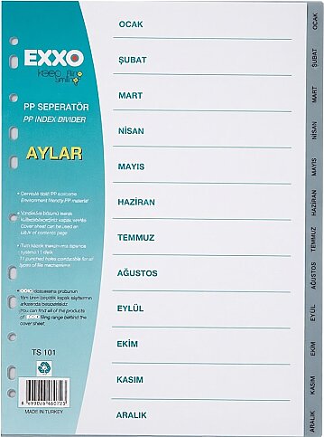 EXXO DOS-TS101 PLASTİK AYRAÇ A4 AYLAR OCAK-ARALIK - 1