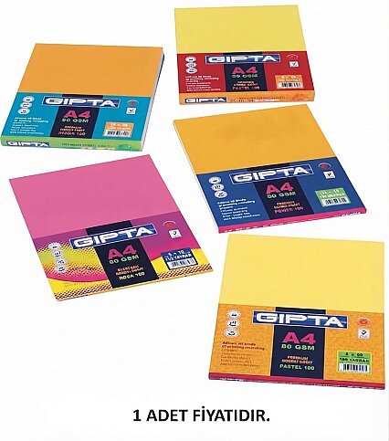 GIPTA 1506 POWER RENKLİ FOTOKOPİ KAĞIDI A4 10 RENK 100LÜ (1506000-2211) - 1