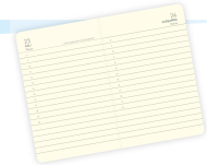 GIPTA 161-MFK MAXMİNİ GÜNLÜK AJANDA 9X14 SERT KAPAK - GIPTA (1)