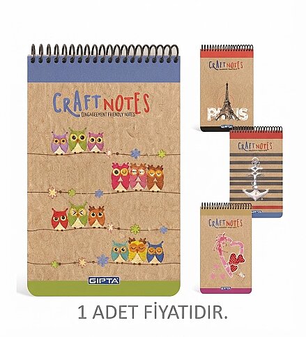 GIPTA 1783 CRAFT SPİRALLİ BLOKNOT A4 ÇİZGİLİ 100 YAPRAK (1783000-2181) - 2