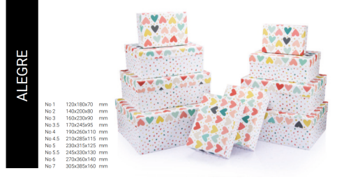 Gıpta Alegre Hediyelik Kutu 120x180x70 (Bx6771-01) - 1