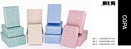 GIPTA COPA HEDİYELİK KUTU 160x230x90 (BX0129-03) - GIPTA