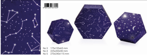 Gıpta Cosmic Altıgen Hediyelik Kutu 225x200x90 (Bx7044-04) - 1