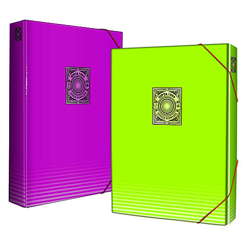 Gıpta 2542 Documentbox Lastikli Kutu Klasör Karışık Renk 25x35 (2542000-2081) - 1
