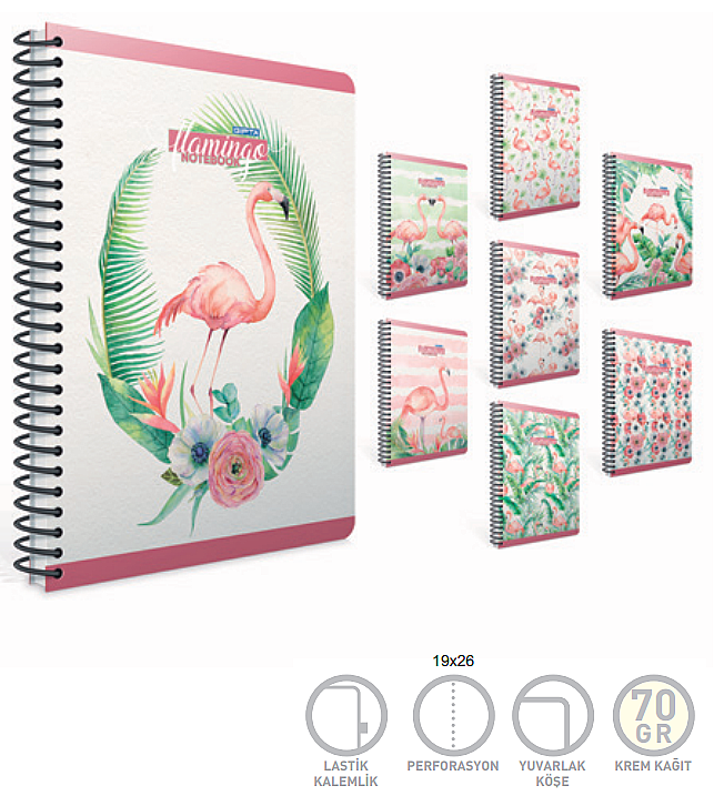 GIPTA 4172 FLAMİNGO SPİRALLİ DEFTER 19x26 KARELİ 100 YAPRAK (4172000-2011)