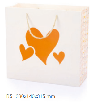 Gıpta Floral Karton Çanta B5 (Bg65800-2071) - 1