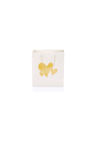 Gıpta Floral Karton Çanta B5 (Bg66340-2071) - 1