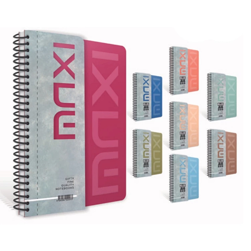 GIPTA 6570 MAXİ SPİRALLİ PLASTİK KAPAK DEFTER A4 160 YAPRAK 1+3 BÖLME (6570000-2011)