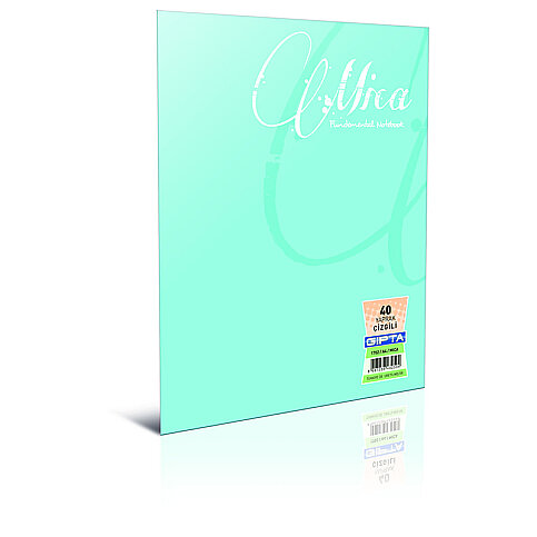 GIPTA 1702 MİCA PLASTİK KAPAK DEFTER A4 ÇİZGİLİ 40 YAPRAK (1702000-2011) - 1