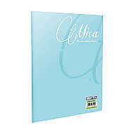 GIPTA 1702 MİCA PLASTİK KAPAK DEFTER A4 ÇİZGİLİ 40 YAPRAK (1702000-2011) - GIPTA