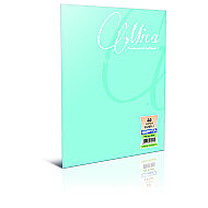 GIPTA 1707 MİCA PLASTİK KAPAK DEFTER A4 ÇİZGİLİ 80 YAPRAK (1707000-2011) - GIPTA