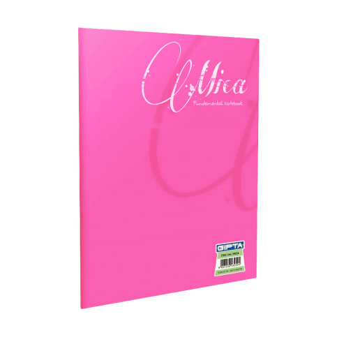 Gıpta 2053 Mica Plastik Kapak Defter A5 Düz 60 Yaprak (2053000-2011) - 1