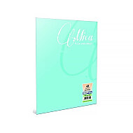 GIPTA 1705 MİCA PLASTİK KAPAK DEFTER A4 KARELİ 60 YAPRAK (1705000-2011) - GIPTA (1)