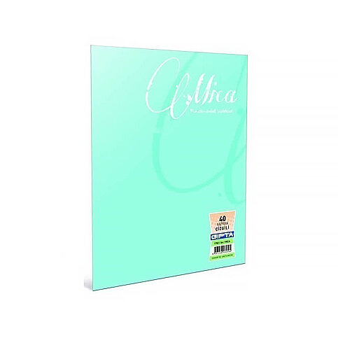 GIPTA 1705 MİCA PLASTİK KAPAK DEFTER A4 KARELİ 60 YAPRAK (1705000-2011) - 2