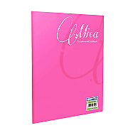 GIPTA 1712 MİCA PLASTİK KAPAK DEFTER A5 KARELİ 60 YAPRAK (1712000-2011) - GIPTA