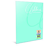 GIPTA 2488 MİCA PLASTİK KAPAK DEFTER A4 ÇİZGİLİ 100 YAPRAK (2488000-2011) - GIPTA