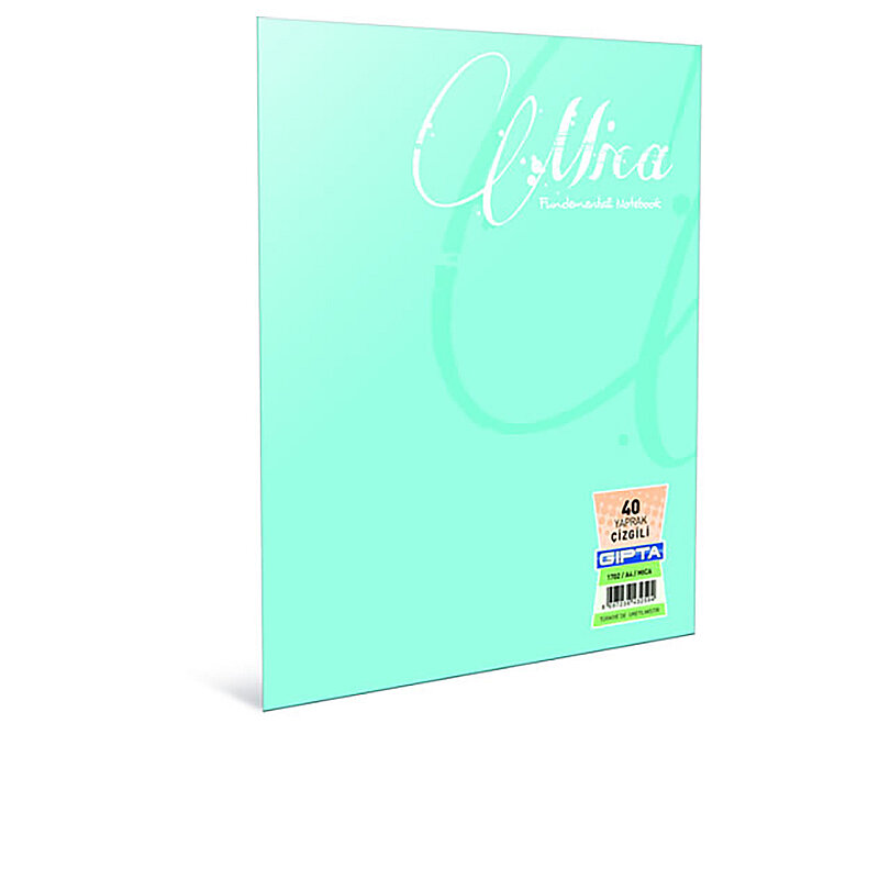 GIPTA 2489 MİCA PLASTİK KAPAK DEFTER A4 KARELİ 100 YAPRAK (2489000-2011)