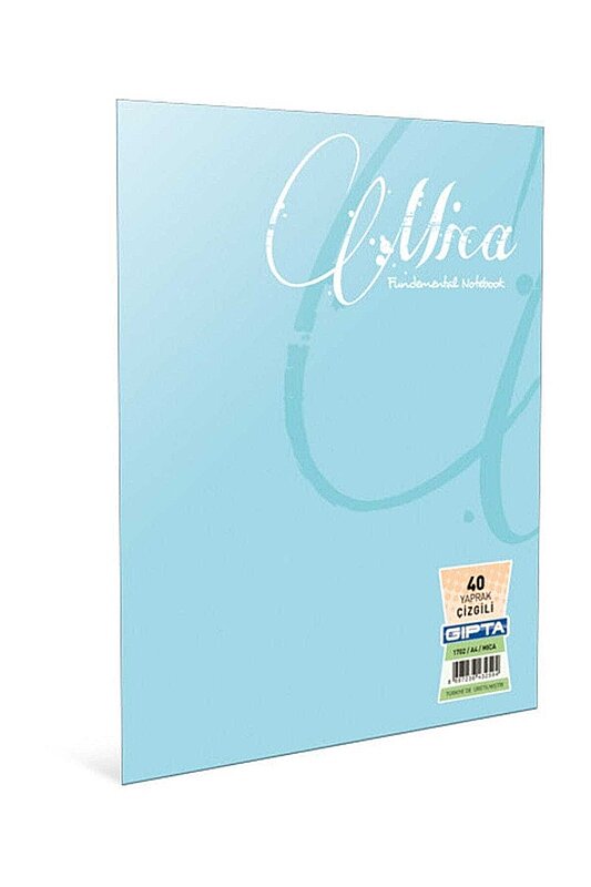 GIPTA 2479 OFSET MİCA PLASTİK KAPAK DEFTER A5 KARELİ 60 YAPRAK (2479000-2011)