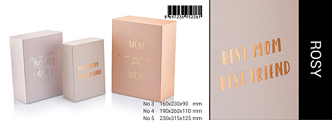 GIPTA ROSY HEDİYELİK KUTU 230x315x125 (BX2061C) - 1
