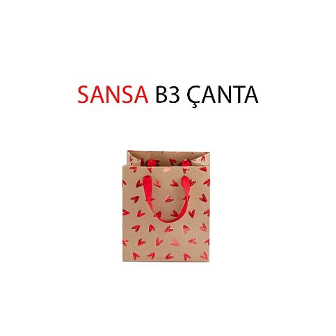 Gıpta Sansa Karton Çanta B3 (Bg08560-2161) - 1