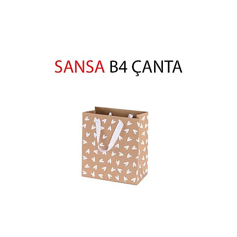 Gıpta Sansa Karton Çanta B4 (Bg08570-2161) - 1