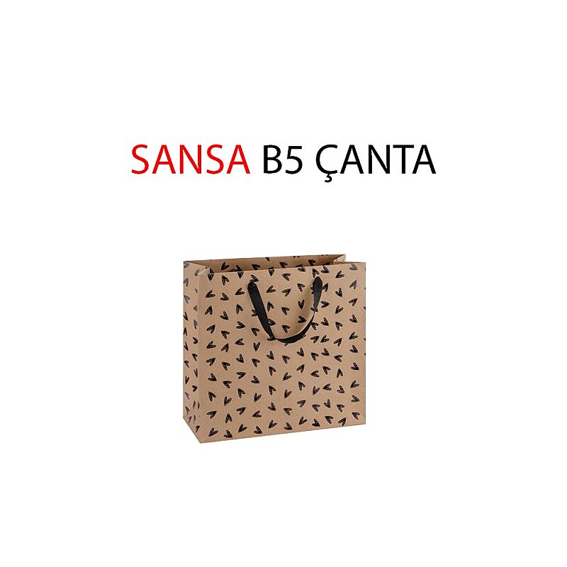 GIPTA SANSA KARTON ÇANTA B5 (BG08600-2161)