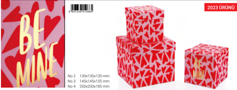 Gıpta Sinta Küp Hediyelik Kutu 130x130x135 (Bx0665-02) - 1