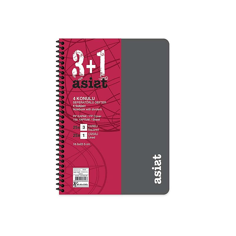 KESKİN ASSİST PLASTİK KAPAK DEFTER 16.5x22.5 100 YAPRAK 3+1 SEPERATÖR (351563-99)
