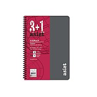Keskin Assist Plastik Kapak Defter 16.5x22.5 100 Yaprak 3+1 Seperatör (351563-99) - KESKİN