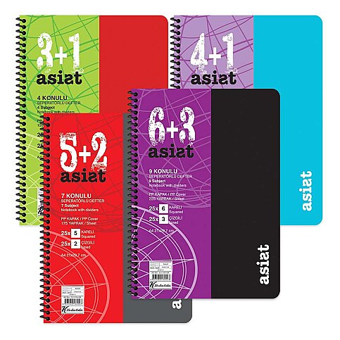 Keskin Assist Plastik Kapak Defter A4 100 Yaprak 3+1 Seperatör (351513-99) - 1