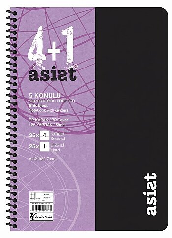 KESKİN COLOR ASSİST PLASTİK KAPAK DEFTER A4 125 YAPRAK 4+1 SEPERATÖR (351523-99) - 1