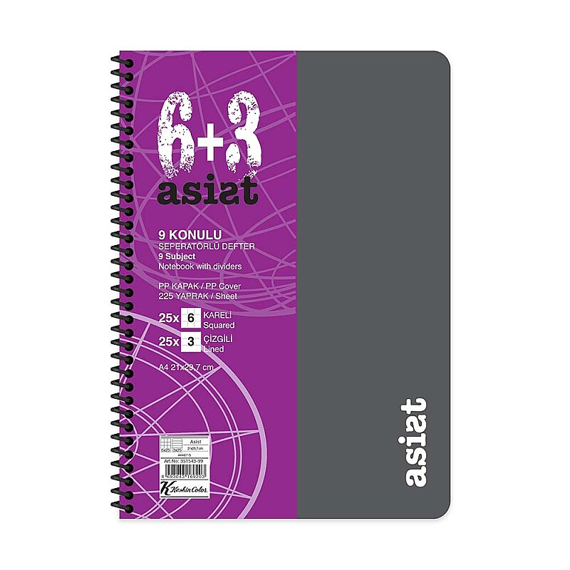 KESKİN ASSİST PLASTİK KAPAK DEFTER A4 225 YAPRAK 6+3 SEPERATÖR (351543-99)