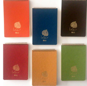 Keskin Linden Spiralli Bloknot A6 Çizgili 80 Yaprak (146421) - KESKİN