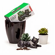 KİKKERLAND PL14 COSMO PLANTER VAZO SİYAH KEDİ - KİKKERLAND