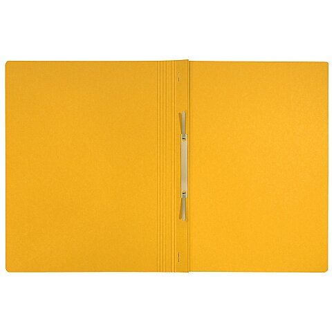 LEİTZ 3904 RECYCLE TAM KAPAK KARTON DOSYA SARI - 2