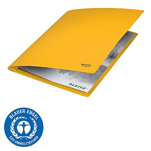 LEİTZ 3904 RECYCLE TAM KAPAK KARTON DOSYA SARI - 3