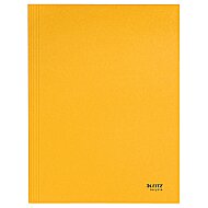LEİTZ 3906 RECYCLE KİLİTLİ İNCE KARTON DOSYA SARI - LEİTZ