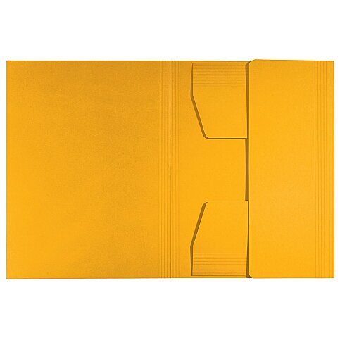 LEİTZ 3906 RECYCLE KİLİTLİ İNCE KARTON DOSYA SARI - 2