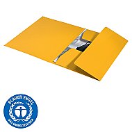 LEİTZ 3906 RECYCLE KİLİTLİ İNCE KARTON DOSYA SARI - 3